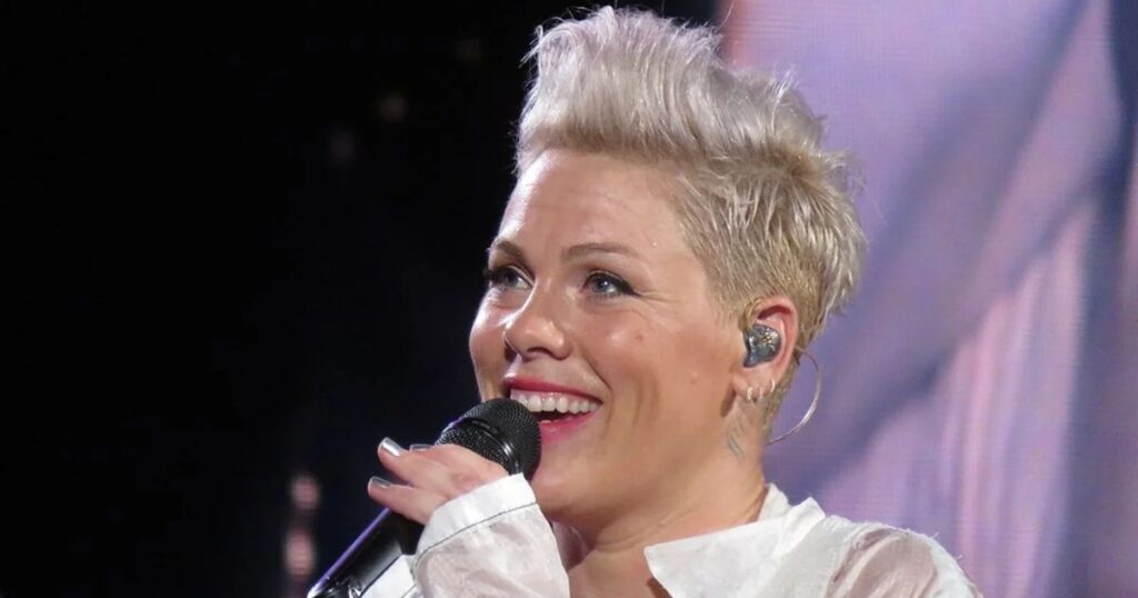 Krásu zdědila po mámě: Dcera zpěvačky Pink má ve 14 letech nakročeno k úspěšné kariéře. Zpívat chce z vlastní vůle